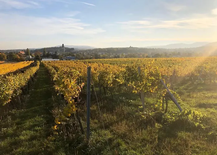 Homestay Pdorf Perchtoldsdorf